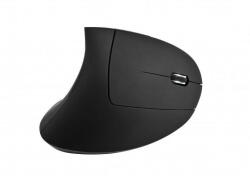 Spire Archer Ice Wireless CG-M4003 Mouse