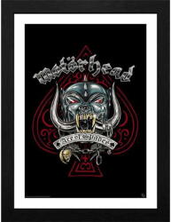 GB posters Imagine Motörhead - Pig Tattoo - GBYDCO374