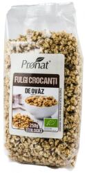 Pronat Fulgi Crocanti de Ovaz Bio 250grame Pronat