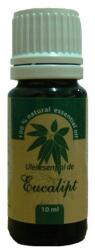 Herbavit Ulei Esential Eucalipt Herbavit 10ml