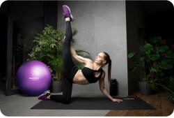 Neo Sport Minge de exercitiu 65 cm NS-951 violet Minge fitness