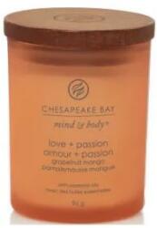 Chesapeake Bay Lumânare aromată Love & Passion - Chesapeake Bay Candle 250 g