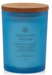 Chesapeake Bay Lumânare aromată Confidence & Freedom - Chesapeake Bay Candle 354 g
