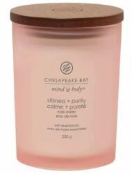 Chesapeake Bay Lumânare aromată Stillness & Purity - Chesapeake Bay Candle 355 g