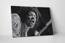 4 Decor Tablou canvas : Jimi Hendrix - beestick-deco - 104,00 RON