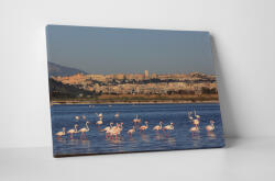 4 Decor Tablou canvas : Familie de flamingo - beestick-deco - 174,00 RON