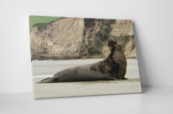 4 Decor Tablou canvas : Leu de mare - beestick-deco - 174,00 RON