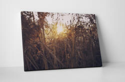 4 Decor Tablou canvas : Apus de soare si iarba - beestick-deco - 174,00 RON