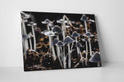 4 Decor Tablou canvas : Ciuperca soarecelui - beestick-deco - 174,00 RON