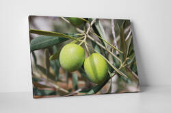 4 Decor Tablou canvas : Masline verzi - beestick-deco - 174,00 RON
