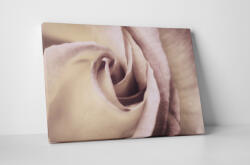 4 Decor Tablou canvas : Trandafirul elegant - beestick-deco - 174,00 RON