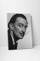 4 Decor Tablou canvas : Salvador Dali - beestick-deco - 104,00 RON
