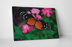 4 Decor Tablou canvas : Butterfly - beestick-deco - 69,00 RON