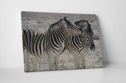 4 Decor Tablou canvas : Familie de zebre - beestick-deco - 174,00 RON