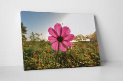 4 Decor Tablou canvas : O floare roz - beestick-deco - 174,00 RON