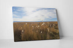4 Decor Tablou canvas : Campul - beestick-deco - 69,00 RON