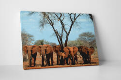 4 Decor Tablou canvas : Familia de elefanti - beestick-deco - 69,00 RON