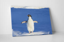 4 Decor Tablou canvas : Pinguin dornic sa zboare - beestick-deco - 174,00 RON