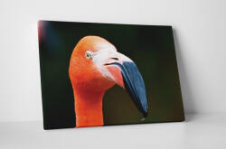 4 Decor Tablou canvas : Portretul unui flamingo - beestick-deco - 174,00 RON