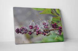 4 Decor Tablou canvas : Liliac si papadie - beestick-deco - 69,00 RON