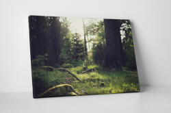 4 Decor Tablou canvas : In iarba - beestick-deco - 69,00 RON