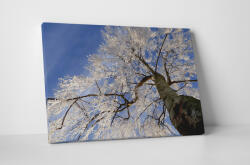 4 Decor Tablou canvas : Copacul inghetat - beestick-deco - 69,00 RON