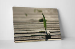 4 Decor Tablou canvas : Un fir de iarba - beestick-deco - 104,00 RON