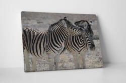 4 Decor Tablou canvas : Familie de zebre - beestick-deco - 104,00 RON