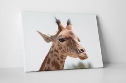 4 Decor Tablou canvas : Girafa simpatica - beestick-deco - 104,00 RON