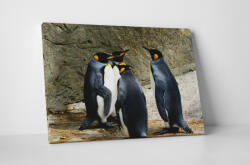 4 Decor Tablou canvas : Intalnirea pinguinilor - beestick-deco - 104,00 RON