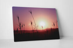 4 Decor Tablou canvas : In the sunset - beestick-deco - 69,00 RON