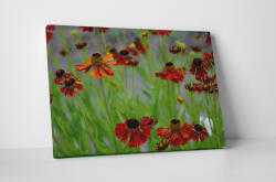 4 Decor Tablou canvas : Flori uscate - beestick-deco - 69,00 RON