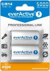 everActive Acumulatori C R14 5000mAh 1.2V Ni-MH set 2 buc. Everactive Professional Line