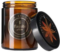 Flagolie Lumânare parfumată, în borcan Anason și mentă - Flagolie Fragranced Candle Anis & Mint 120 g