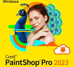 Corel PaintShop Pro 2023 ENG (ESDPSP2023ML)