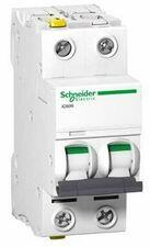Schneider Electric Kismegszakító 2P 32A C-jelleg 400V AC/DC 6kA/60898 20kA/60947 Acti9 iC60N Schneider - A9F04232 (A9F04232)