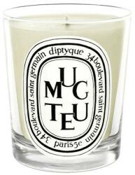Diptyque Lumânare aromatică - Diptyque Muguet Candle 190 g