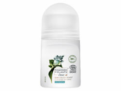 Dove Powered by Plants Eucalyptus roll-on 50 ml