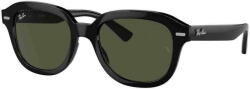 Ray-Ban Erik RB4398 901/31