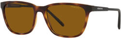 Arnette Cortex AN4291 277083