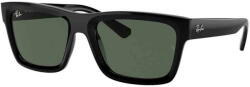 Ray-Ban Warren RB4396 667771