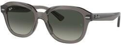 Ray-Ban Erik RB4398 667571
