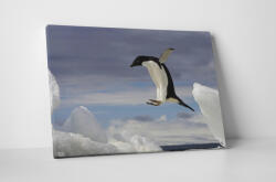 4 Decor Tablou canvas : Pinguin zburator - beestick-deco - 69,00 RON