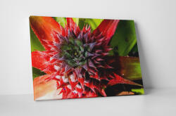 4 Decor Tablou canvas : Frunze de ananas - beestick-deco - 104,00 RON