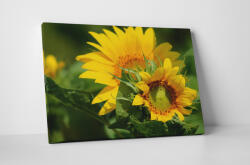 4 Decor Tablou canvas : Florile soarelui - beestick-deco - 174,00 RON