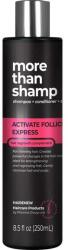 Hairenew Șampon Activarea expresă a foliculilor - Hairenew Activate Follicles Expre Shampoo 250 ml