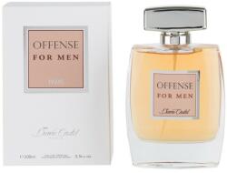 Diane Castel Eau De Parfum Für Männer – 100 Ml Frischer Holziger Duft