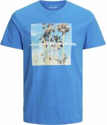 JACK & JONES Gem , Albastru , L