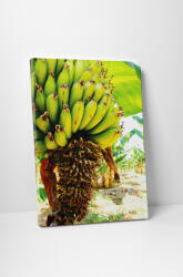 4 Decor Tablou canvas : Banane - beestick-deco - 104,00 RON