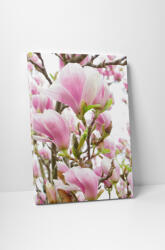 4 Decor Tablou canvas : Magnolia inflorita - beestick-deco - 69,00 RON